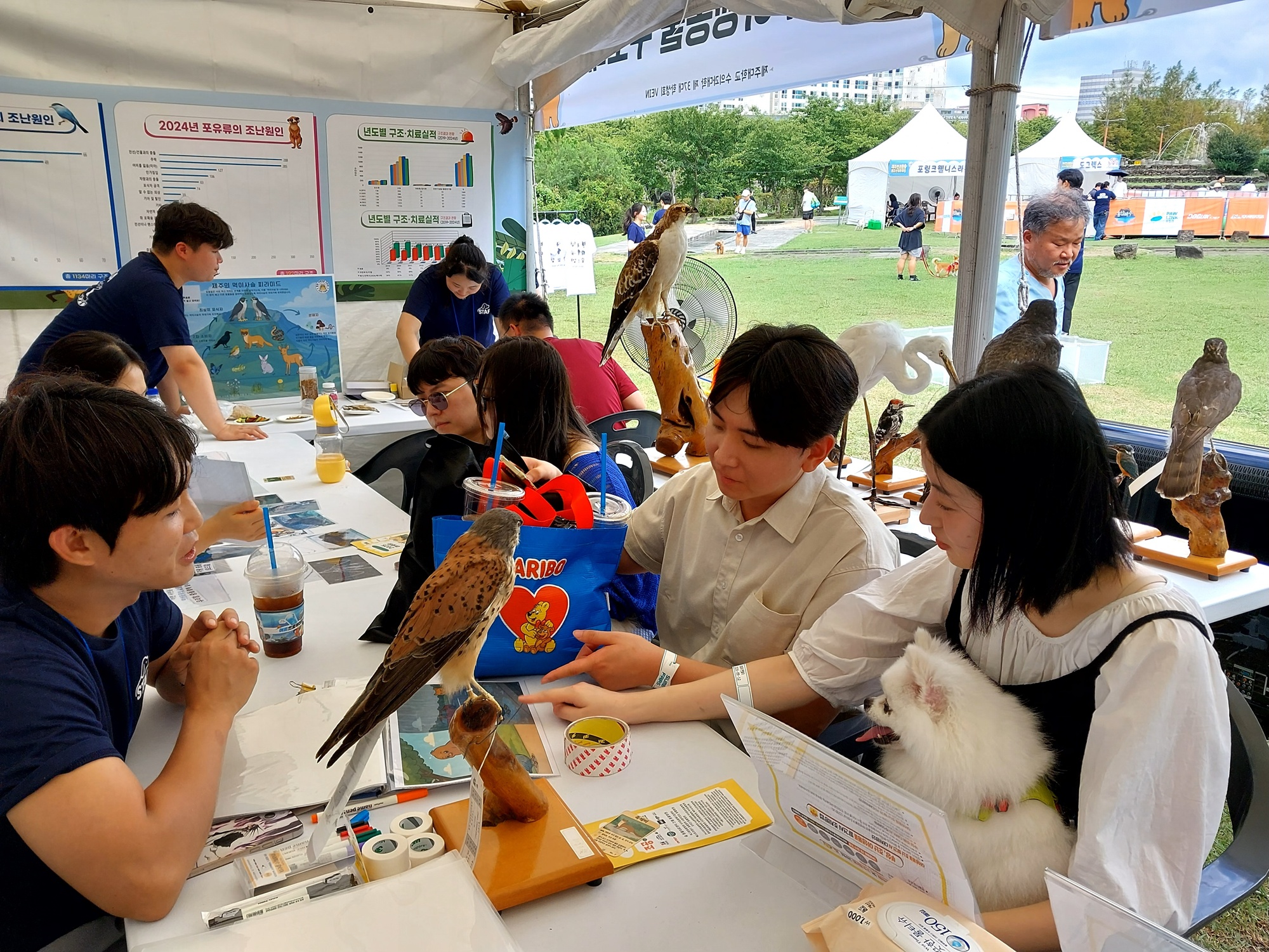 생태·환경 지킴이“출동, 야생동물 구조대!”