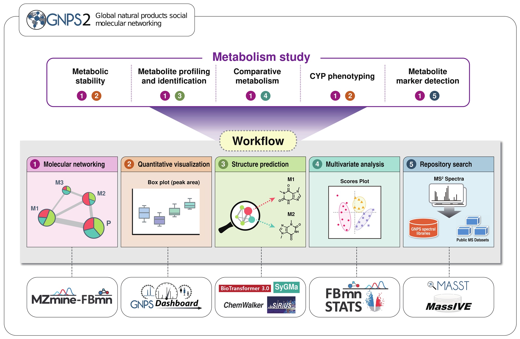제주약학연구소 부소장 유준상 교수, 국제저명학술지 ‘Nature Protocols’에 논문 게재