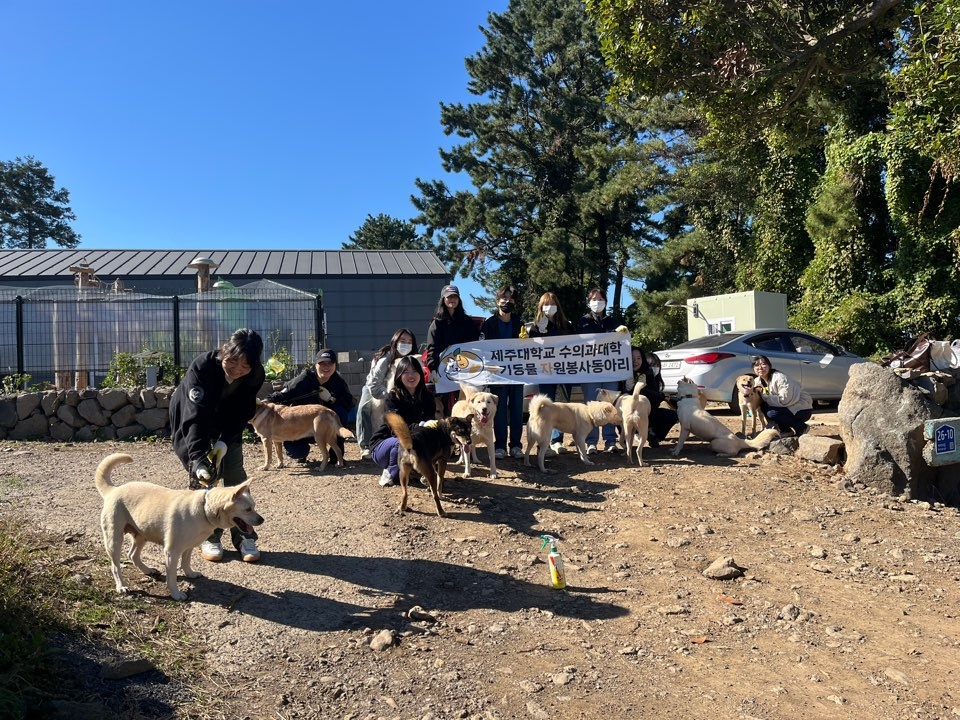 제주대 JNU나눔실천봉사단, “강의실 밖 생생한 나눔”...전공 역량으로 지역 상생 이끈다