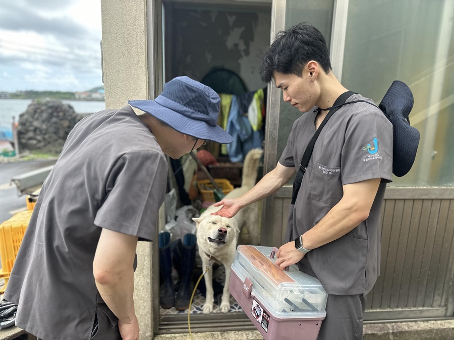 제주대 수의과대학 동물 무료진료 봉사활동