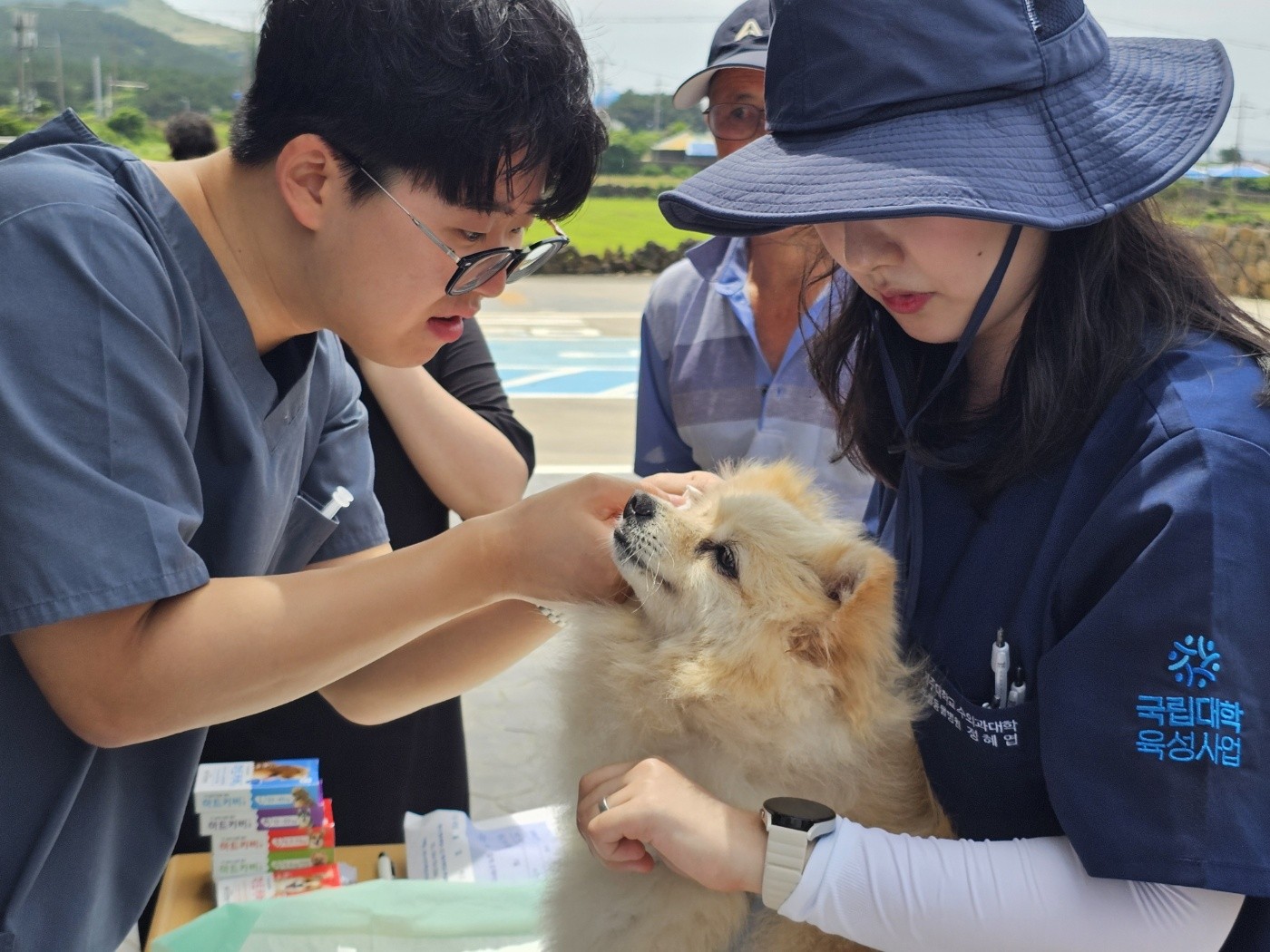 JNU College of Veterinary Medicine Provides Free Animal Treatment Through ‘Island in Island’ Volunteer Program
