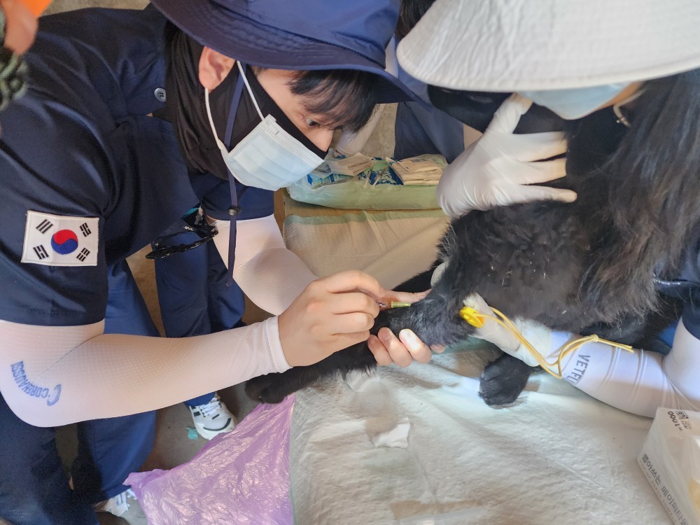 제주대 수의과대학, 몽골 울란바토르서 12년째 동물진료 봉사활동 ‘훈훈’