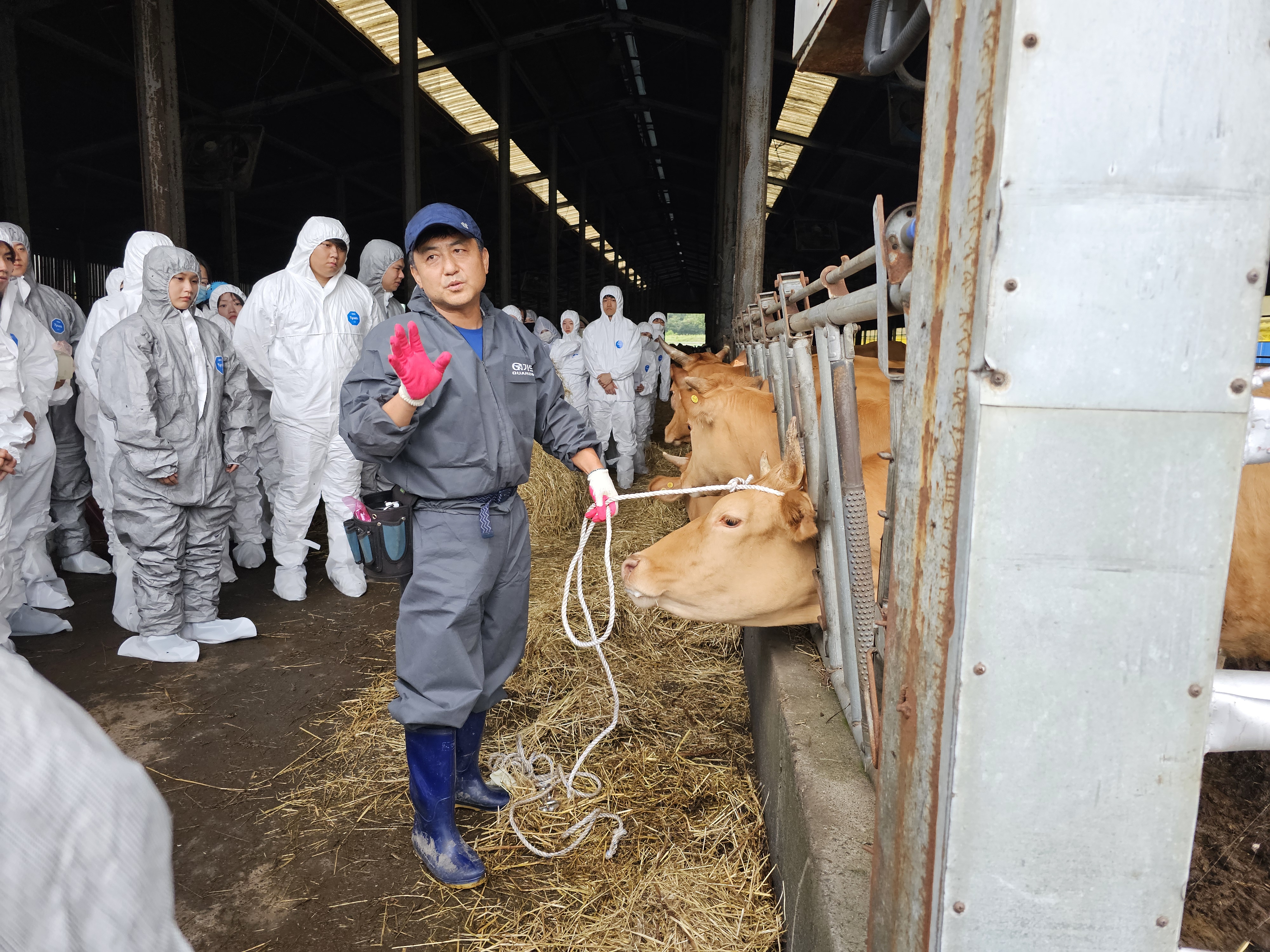 수의학과, 2024학년도 산업동물임상실습 성료