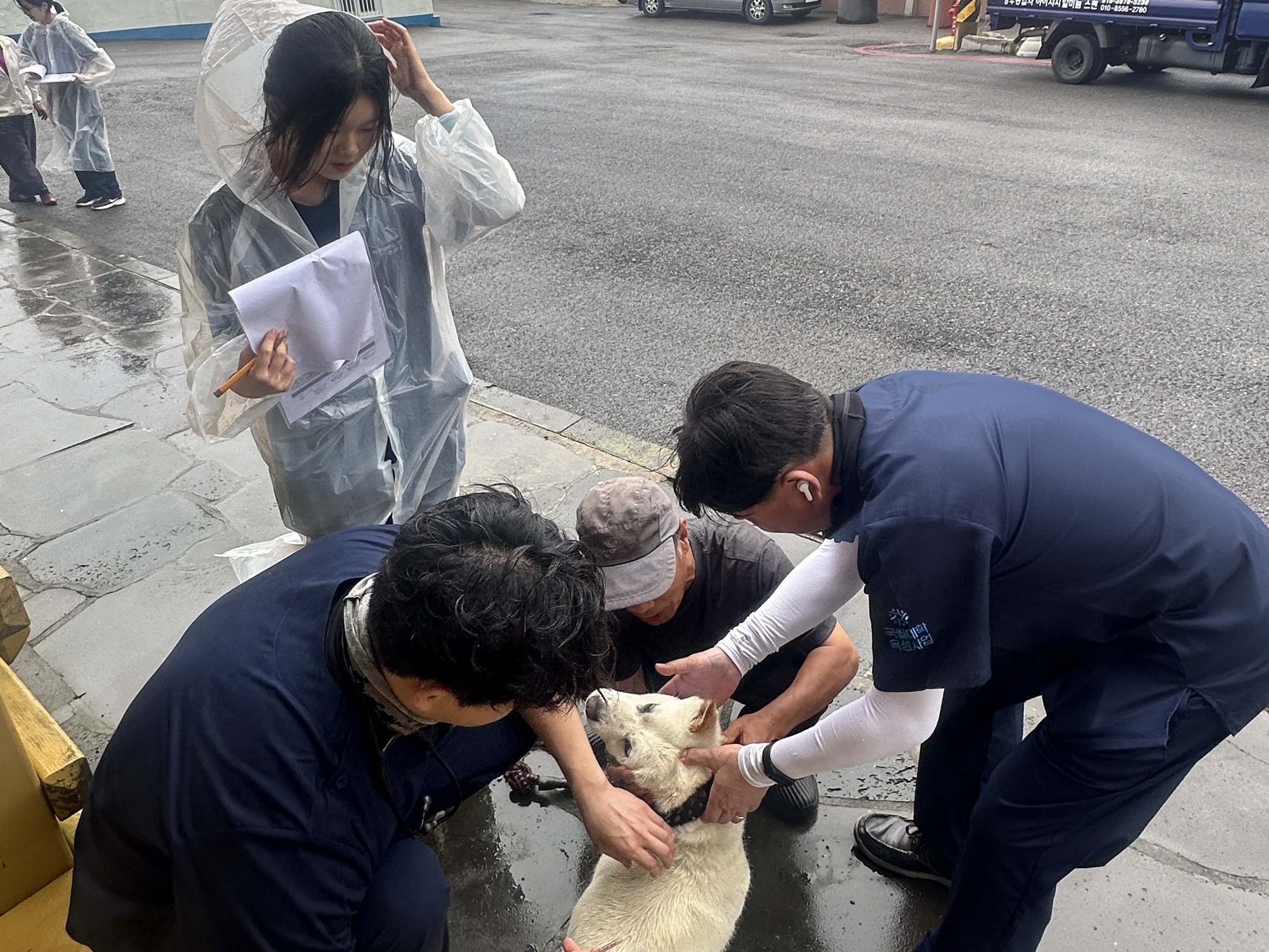 제주대학교 수의과대학, '섬 속의 섬' 동물 의료 봉사 '훈훈'