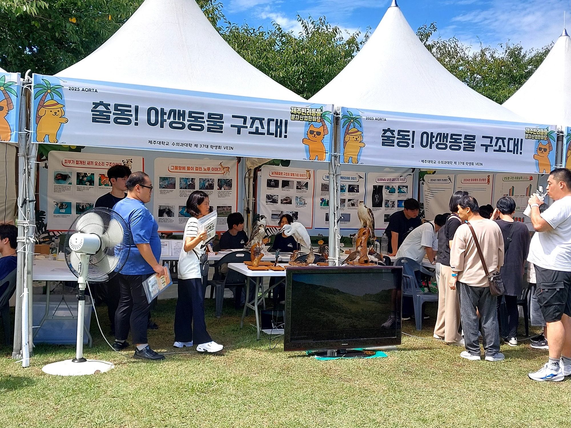 생태·환경 지킴이“출동, 야생동물 구조대!”