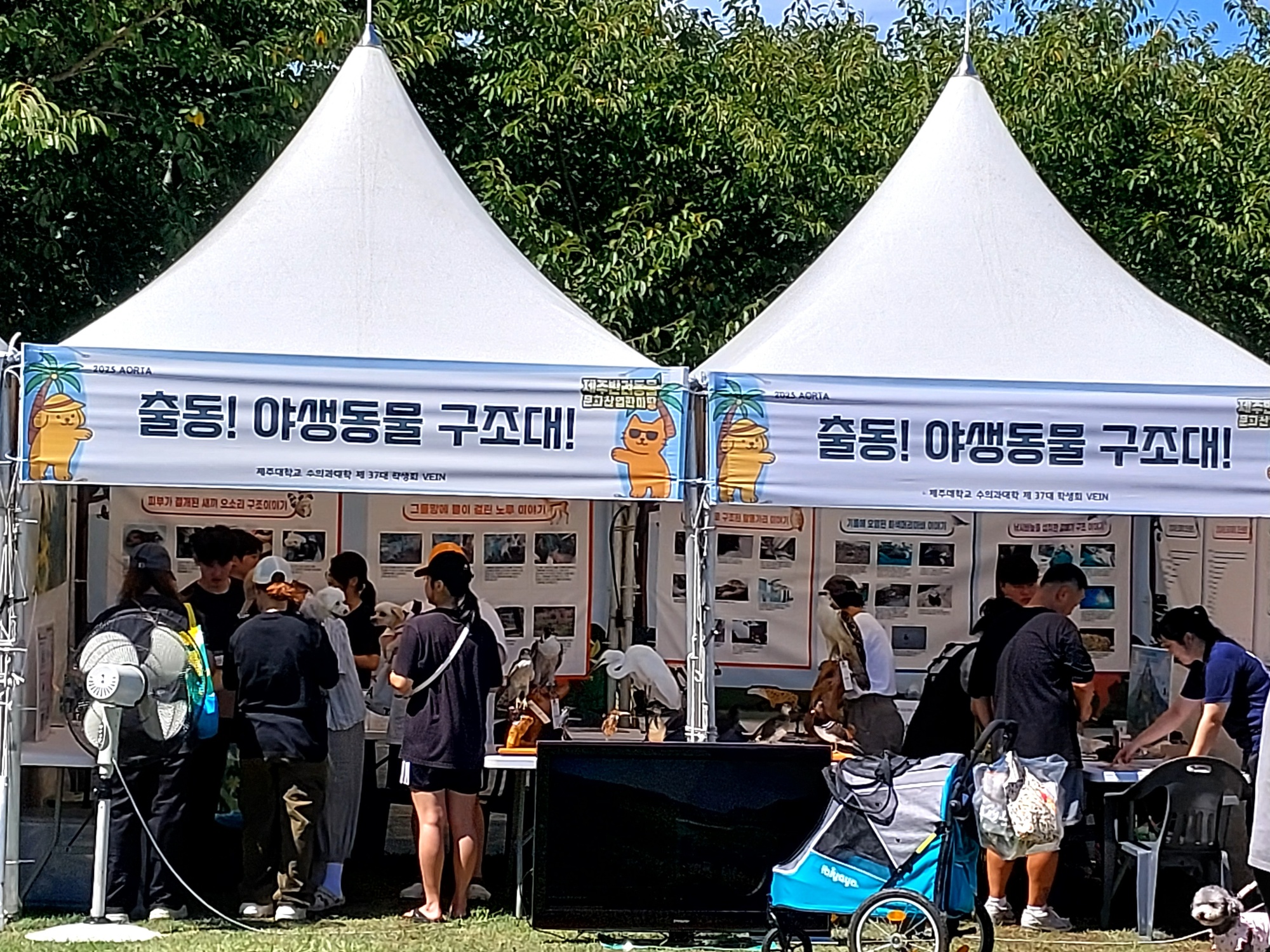 생태·환경 지킴이“출동, 야생동물 구조대!”