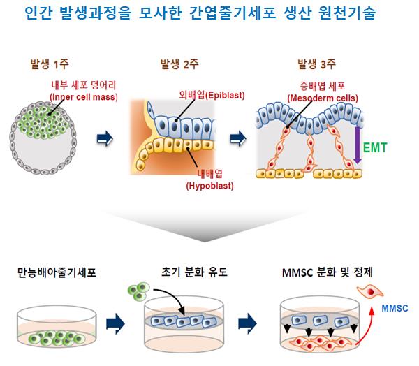 The Treatment of Refractory Urticaria Disease with Allogeneic Embryonic Stem Cell-derived MesenchyMal Stem Cells (MMSC)