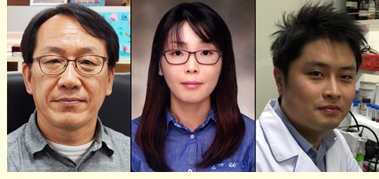 최광식 교수팀, 연구재단 우수성과 50과제 선정