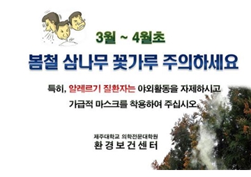 환경보건센터 "삼나무 꽃가루 주의하세요"