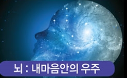 '뇌 과학' 알기 공개강좌 개최