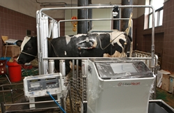 국내개발 심실보조장치 첫 동물실험 성공