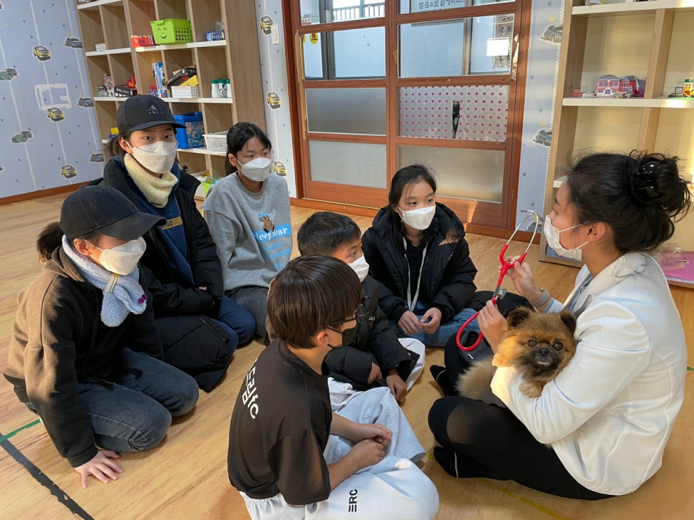 Career experience program offered by veterinary hospital volunteers