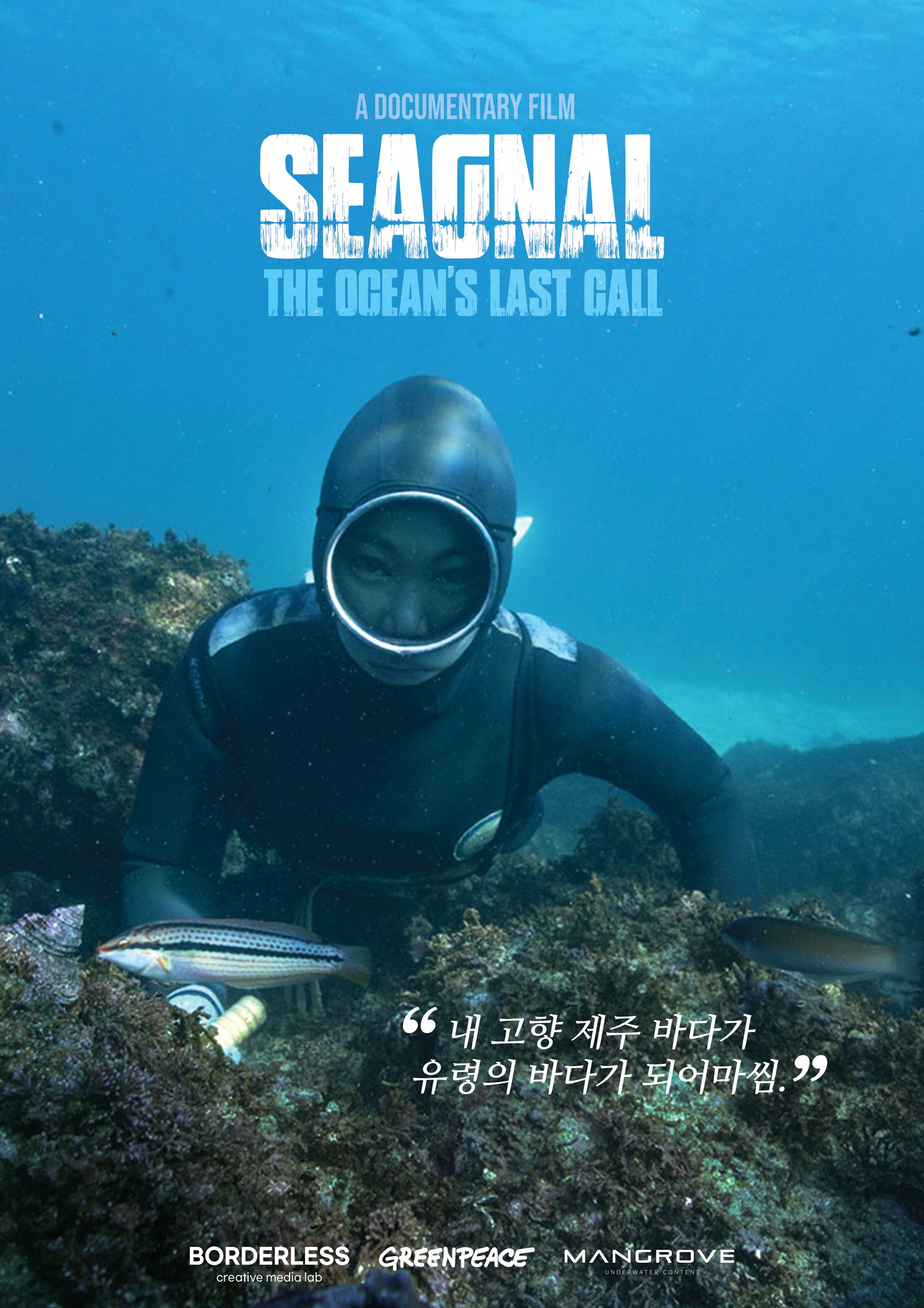 ‘바다에서 보낸 신호’... 제주대학교 미술학과 이유정 해녀… 다큐 ‘씨그널’서 환경 보호 필요성 제기