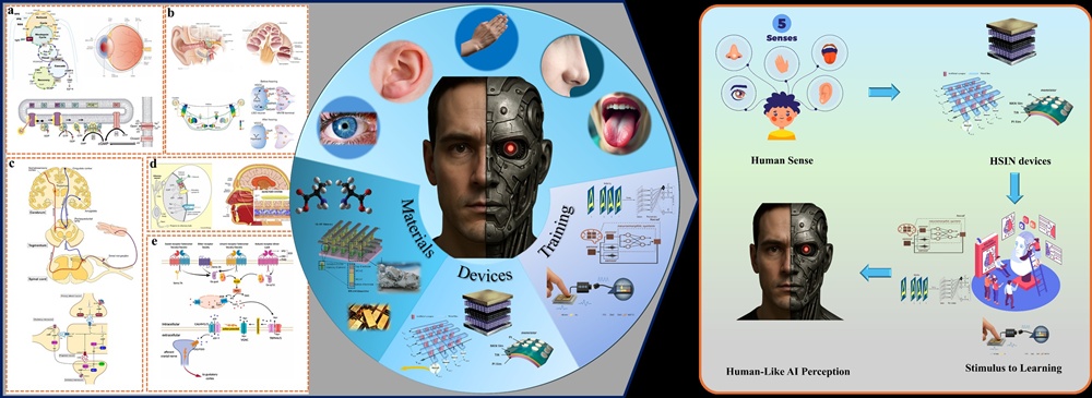 제주대 배진호 교수팀, 인간 모방형 감각센서 인터페이싱 뉴로모픽 소자에 관한 리뷰논문으로 세계 최고수준 저널 ‘International Journal of Extreme Manufacturing’  (IF 21.3)’에 게재 