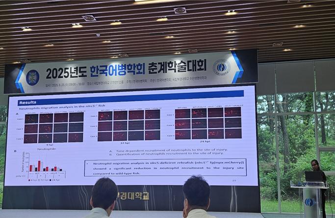 제주대학교 해양생명과학과, 2025년도 한국어병학회 춘계 정기학술대회 구두 발표상 수상