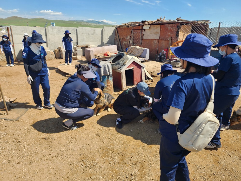 제주대 수의과대학, 몽골 울란바토르서 12년째 동물진료 봉사활동 ‘훈훈’