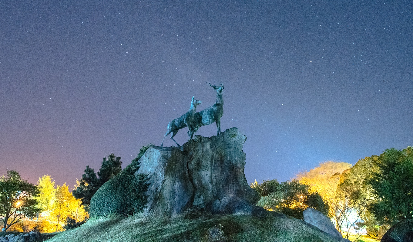 제주대학교, ‘글로컬대학30’ 2025년 예비지정 대학 선정