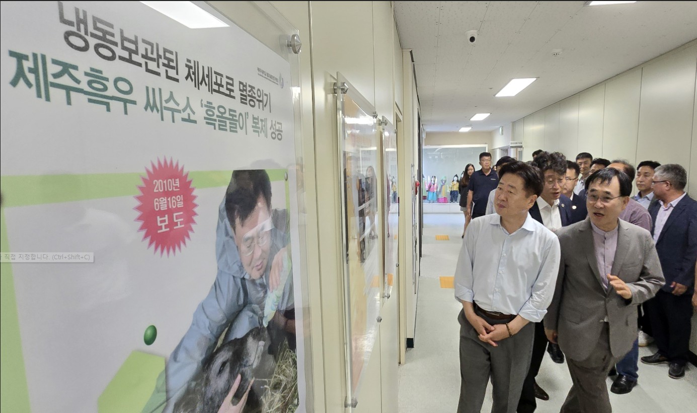 제주흑우 명품 브랜드 육성 ‘성과’