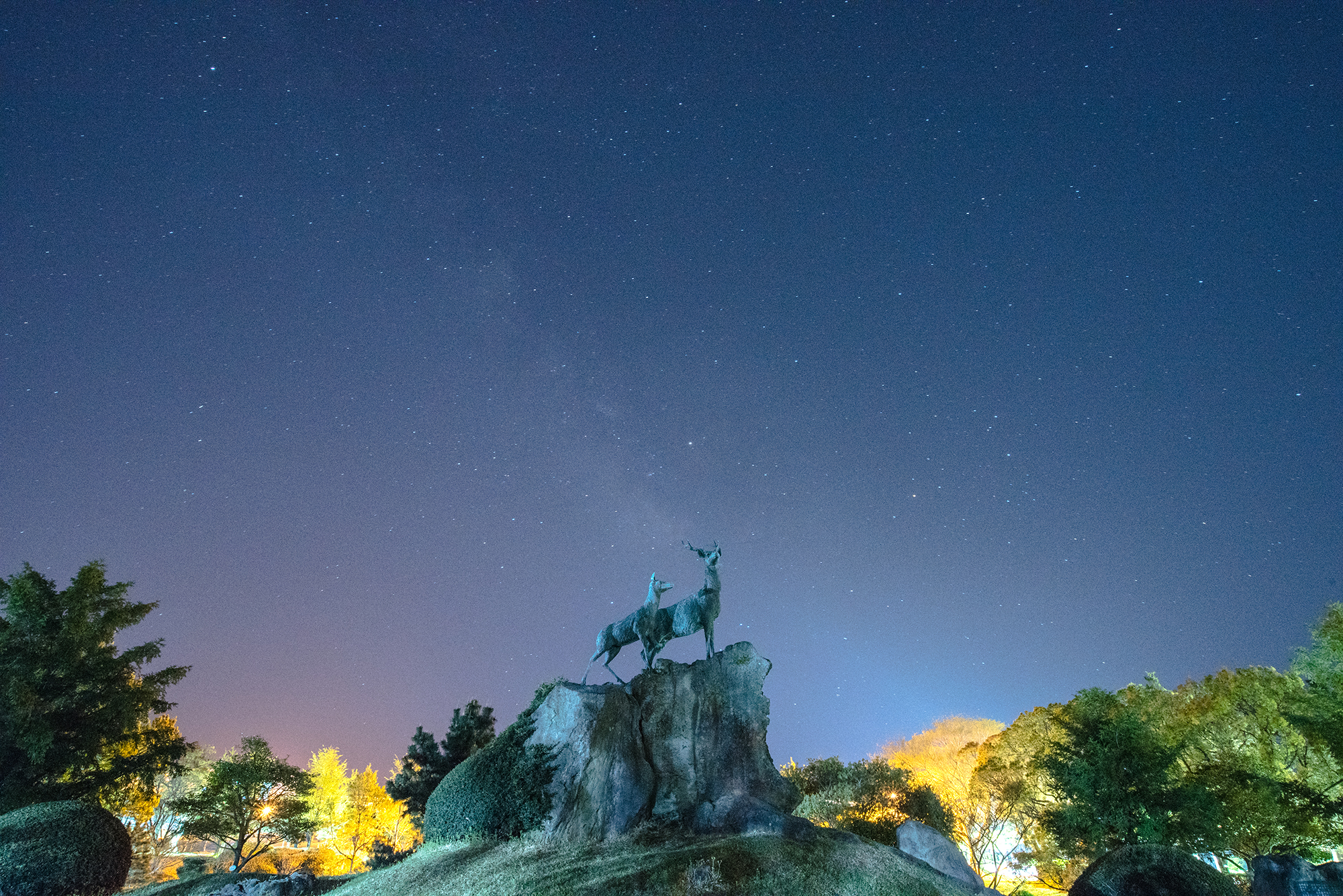 그 날밤, 우리의 꿈