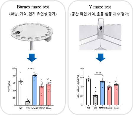 Mirae Cell Bio Co., Ltd. at JNU Proves Effectiveness of Stem Cell Therapy for Treating Vascular Dementia