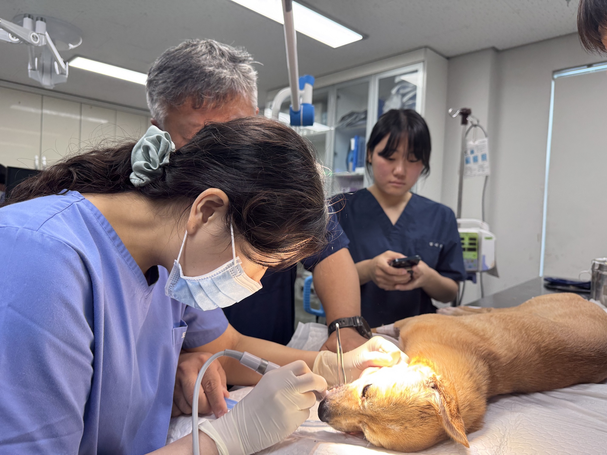 제주대학교 수의과대학 임상동아리 ‘백신’ RISE 사업 지원으로 One Health 제주 실현에 기여