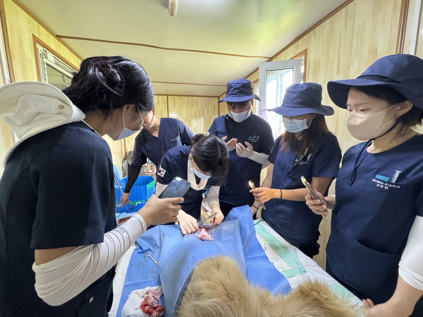 제주대 수의과대학, 몽골 울란바토르서 12년째 동물진료 봉사활동 ‘훈훈’