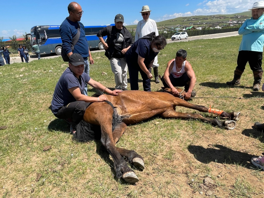 제주대 아라국외봉사단, 몽골 봉사활동 1.jpg