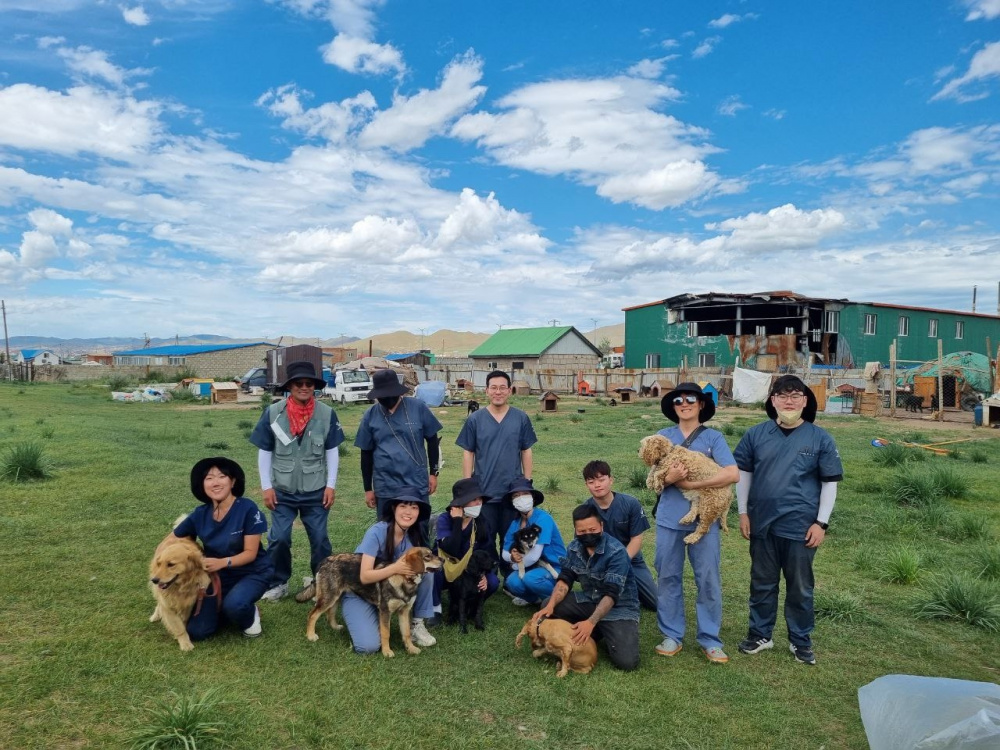 제주대 아라국외봉사단, 몽골서 동물진료 봉사활동 4.jpg